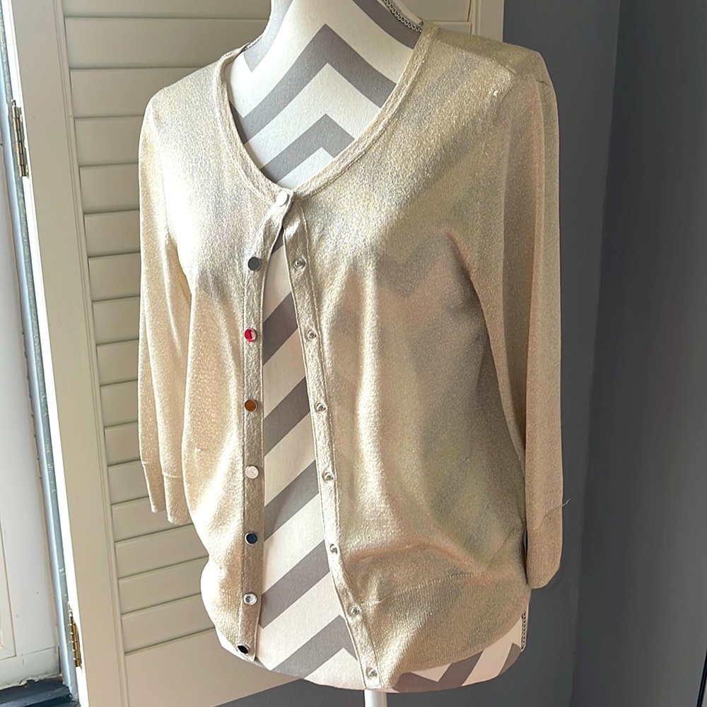Shimmer Top